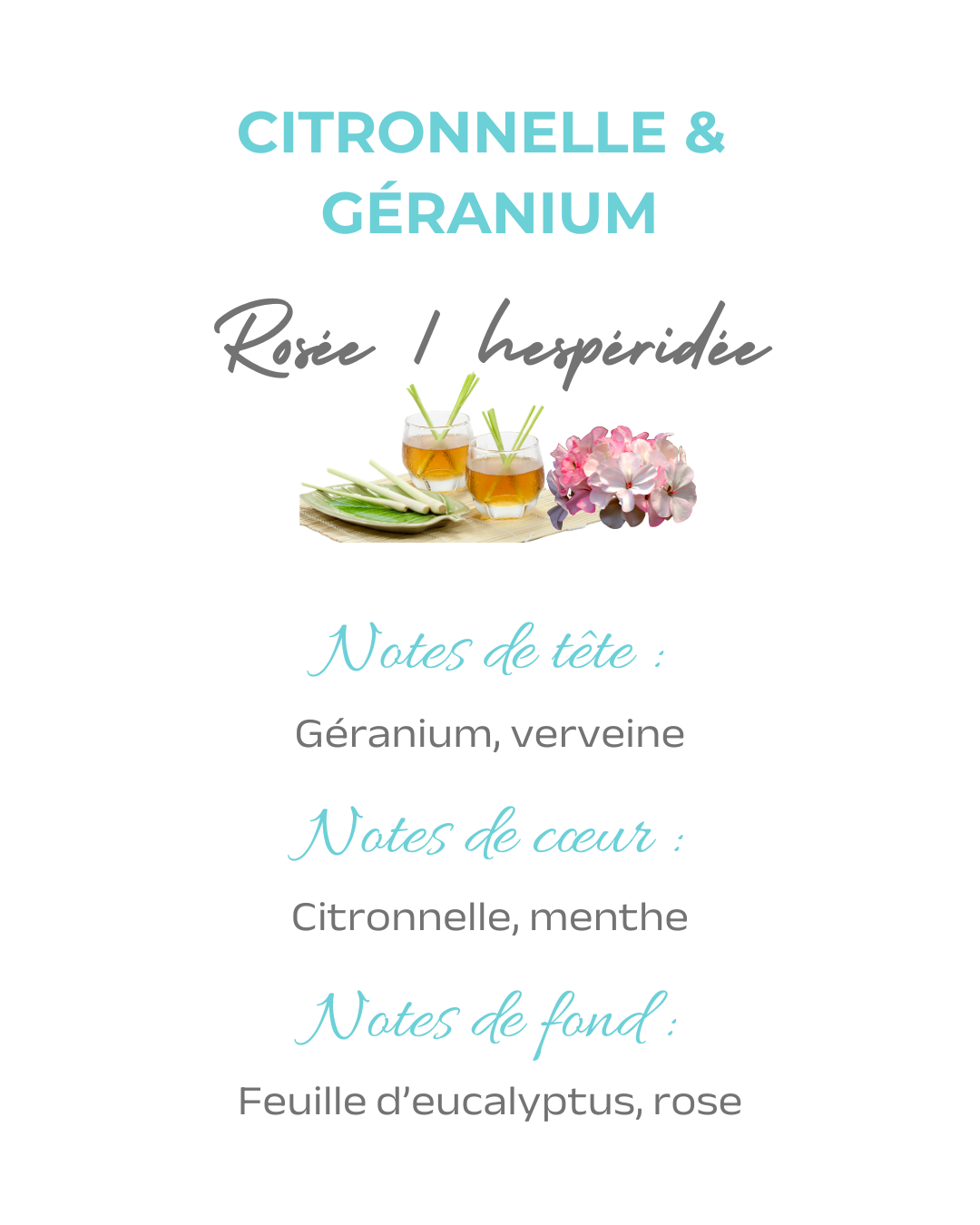 Lot 4 fondants Citronnelle & Géranium