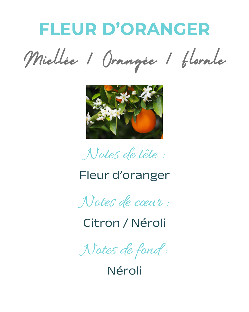 Coffret 4 fondants Fleur d'Oranger
