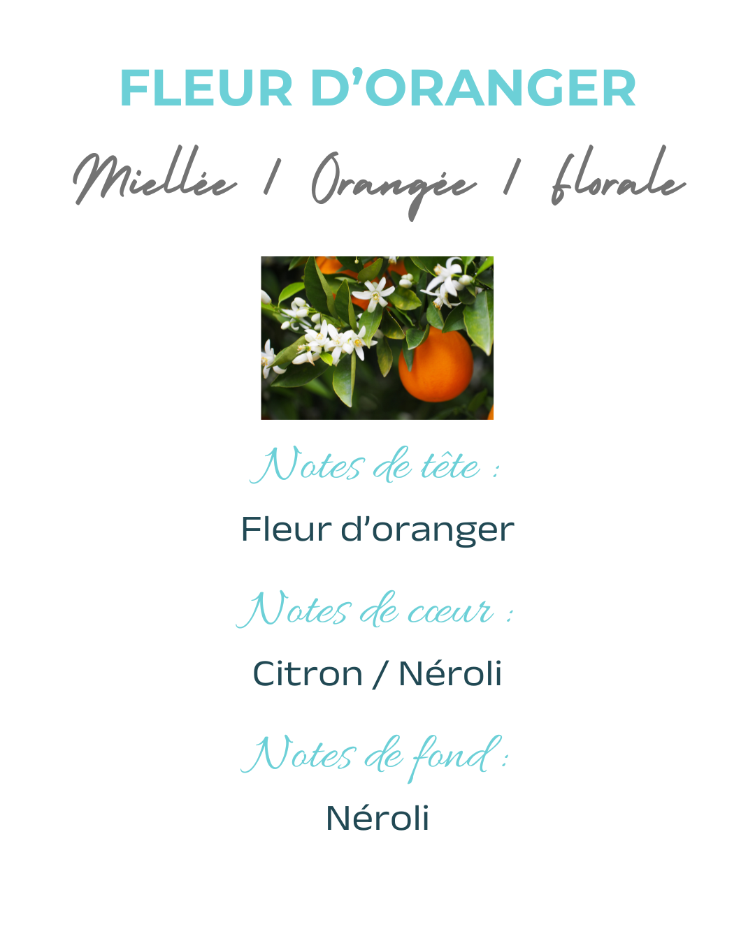 Coffret 3 plâtres parfumés Fleur d'Oranger