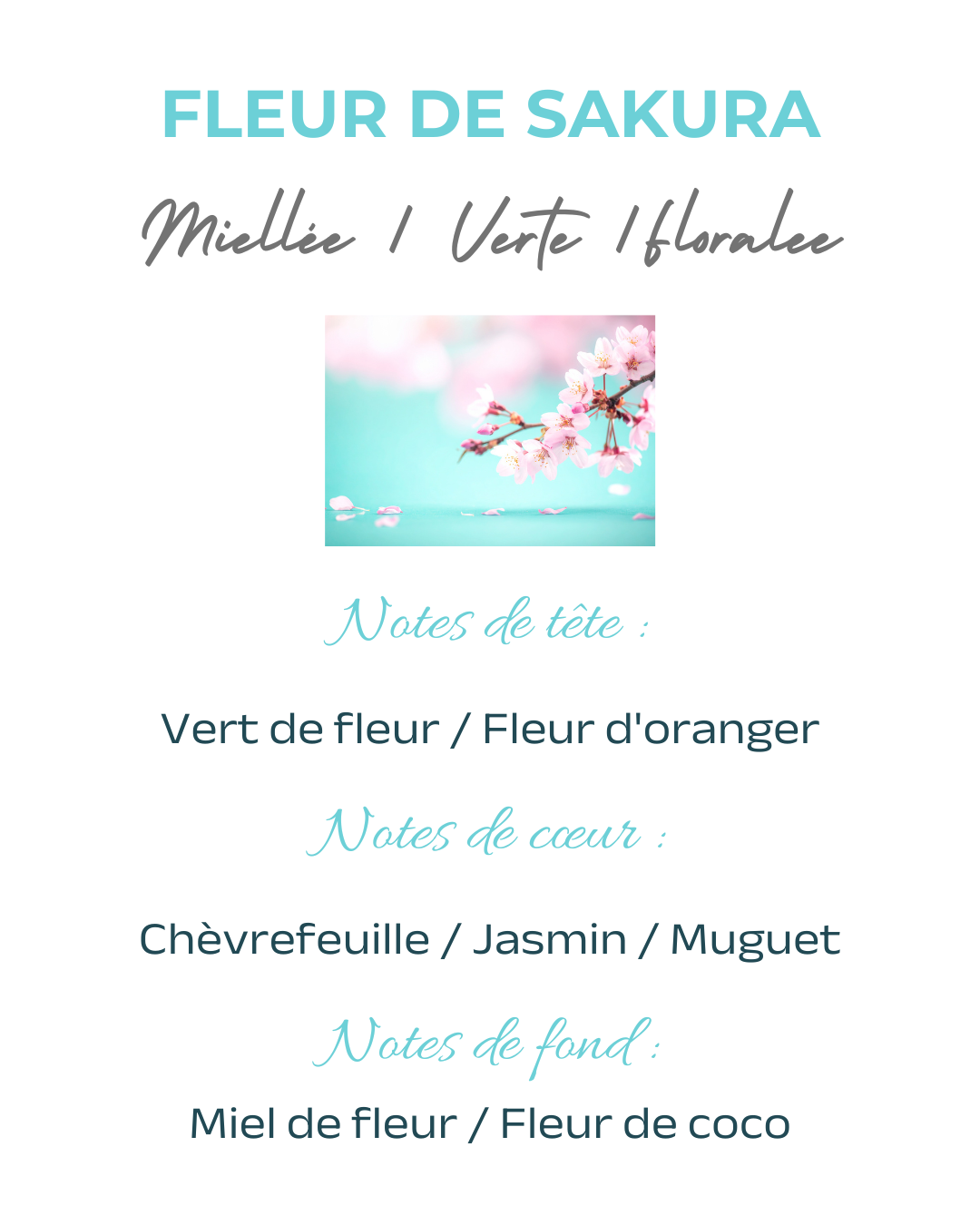 Bougie parfumée Fleur de Sakura