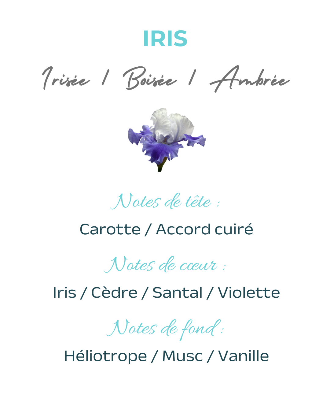 Coffret 4 fondants Iris