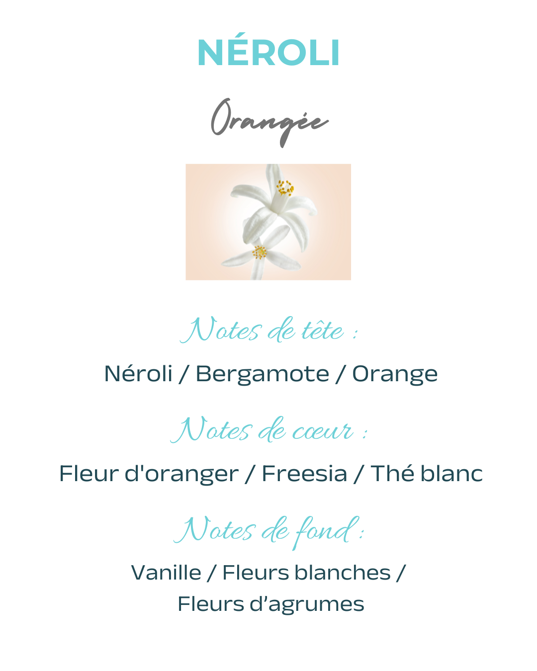 Coffret 4 fondants Néroli