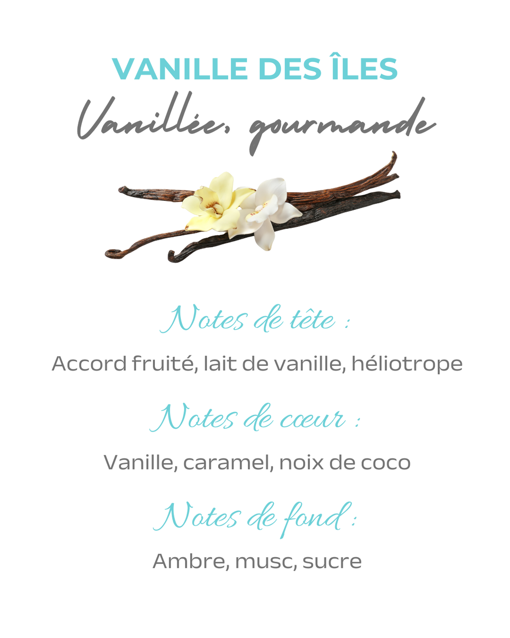Bougie parfumée Vanille des îles