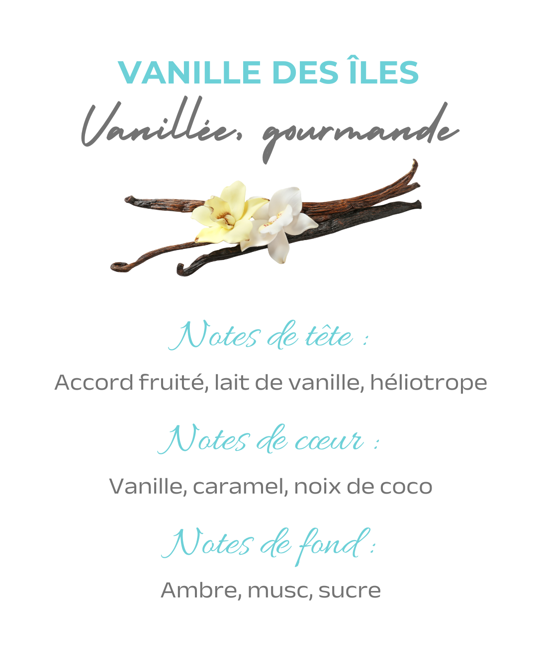 Bougie parfumée Vanille des îles