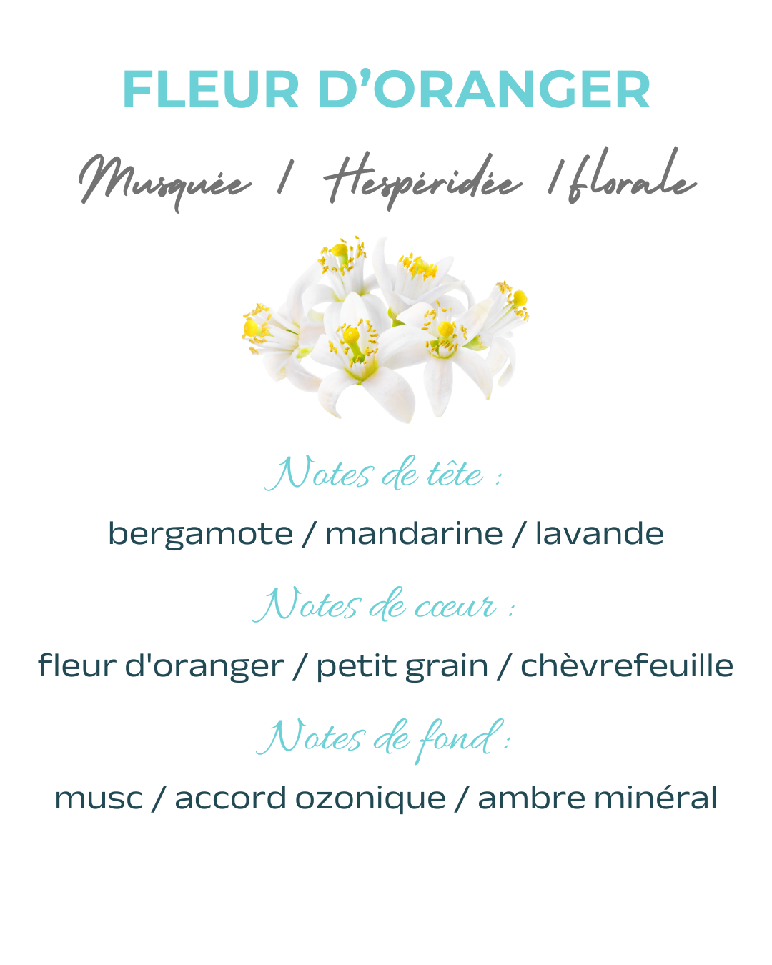 Parfum textile Fleur d'oranger