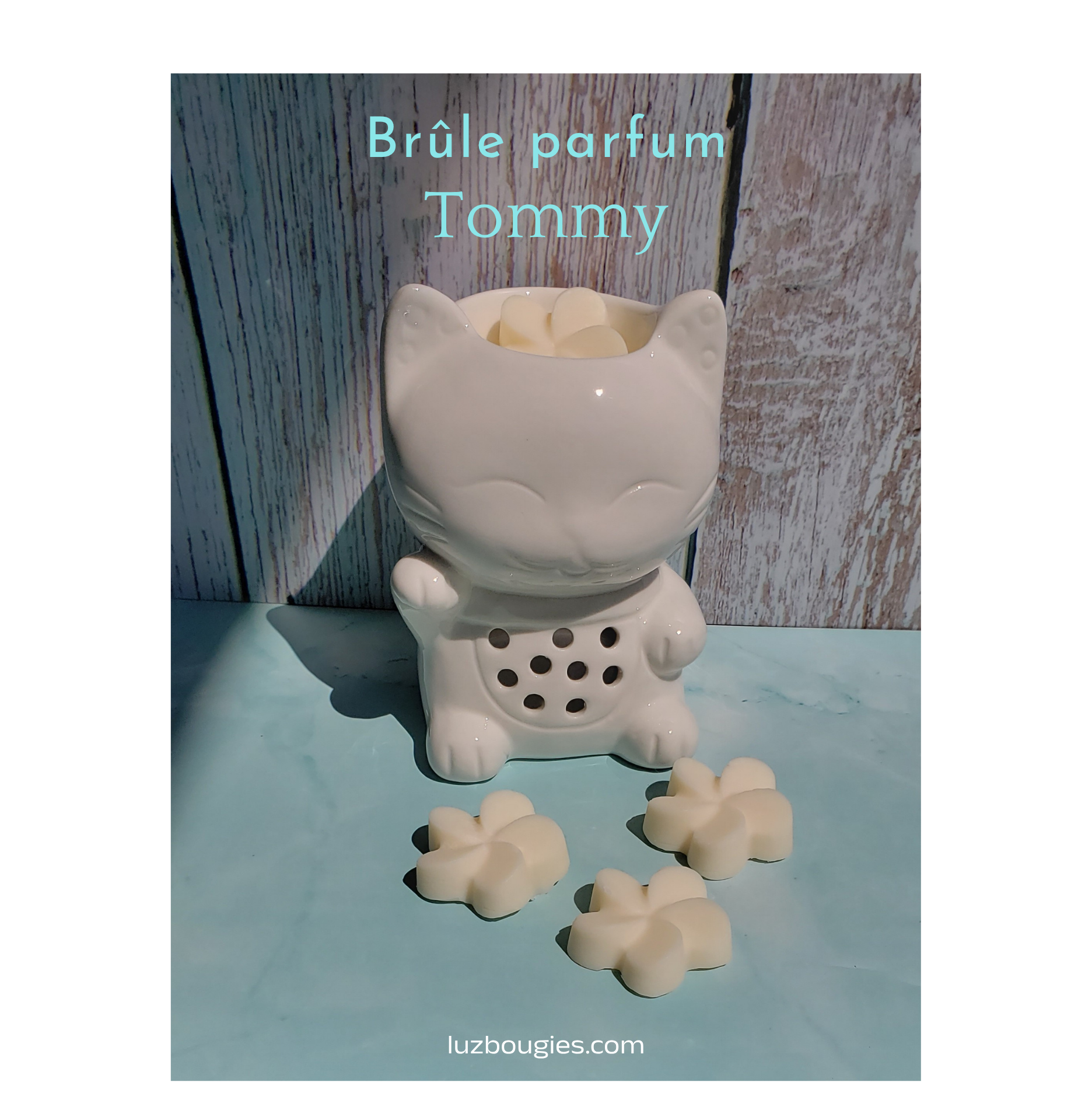 Brûle parfum Tommy