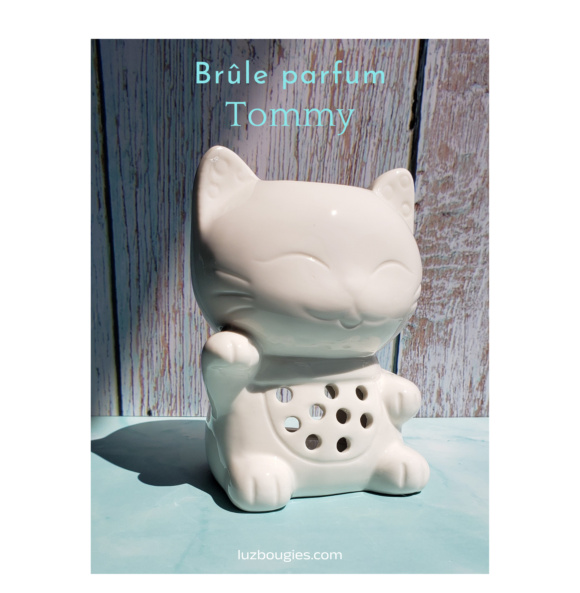 Brûle parfum Tommy