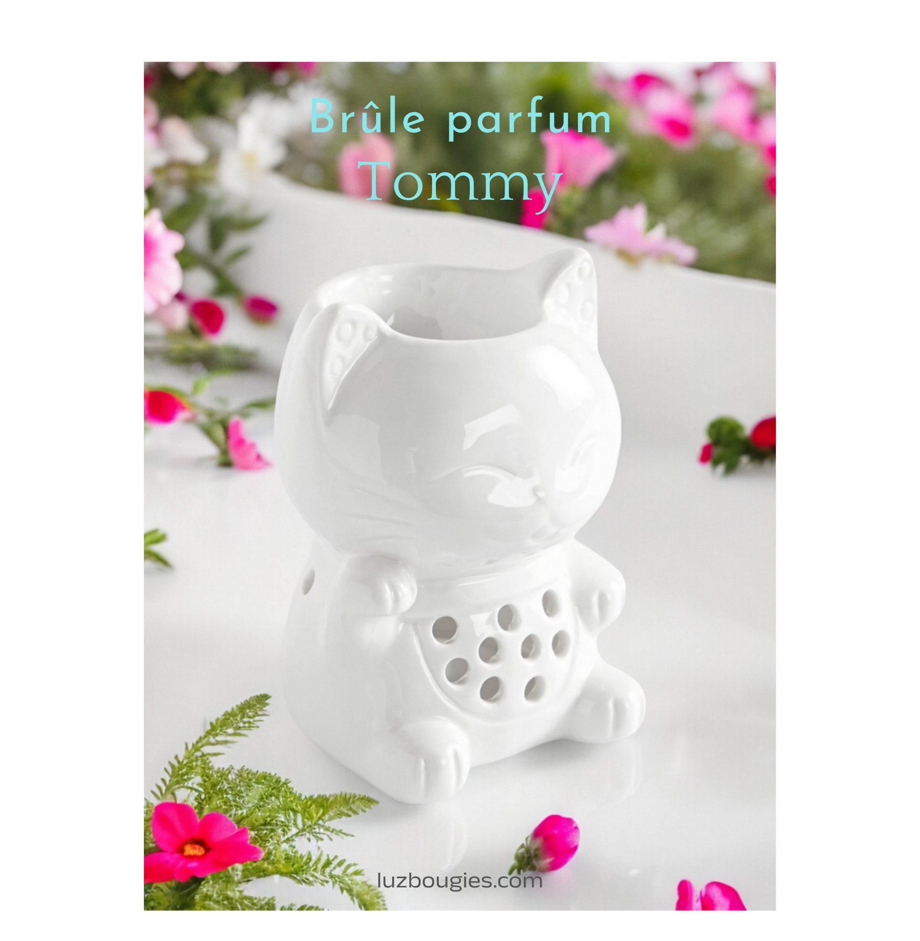 Brûle parfum Tommy