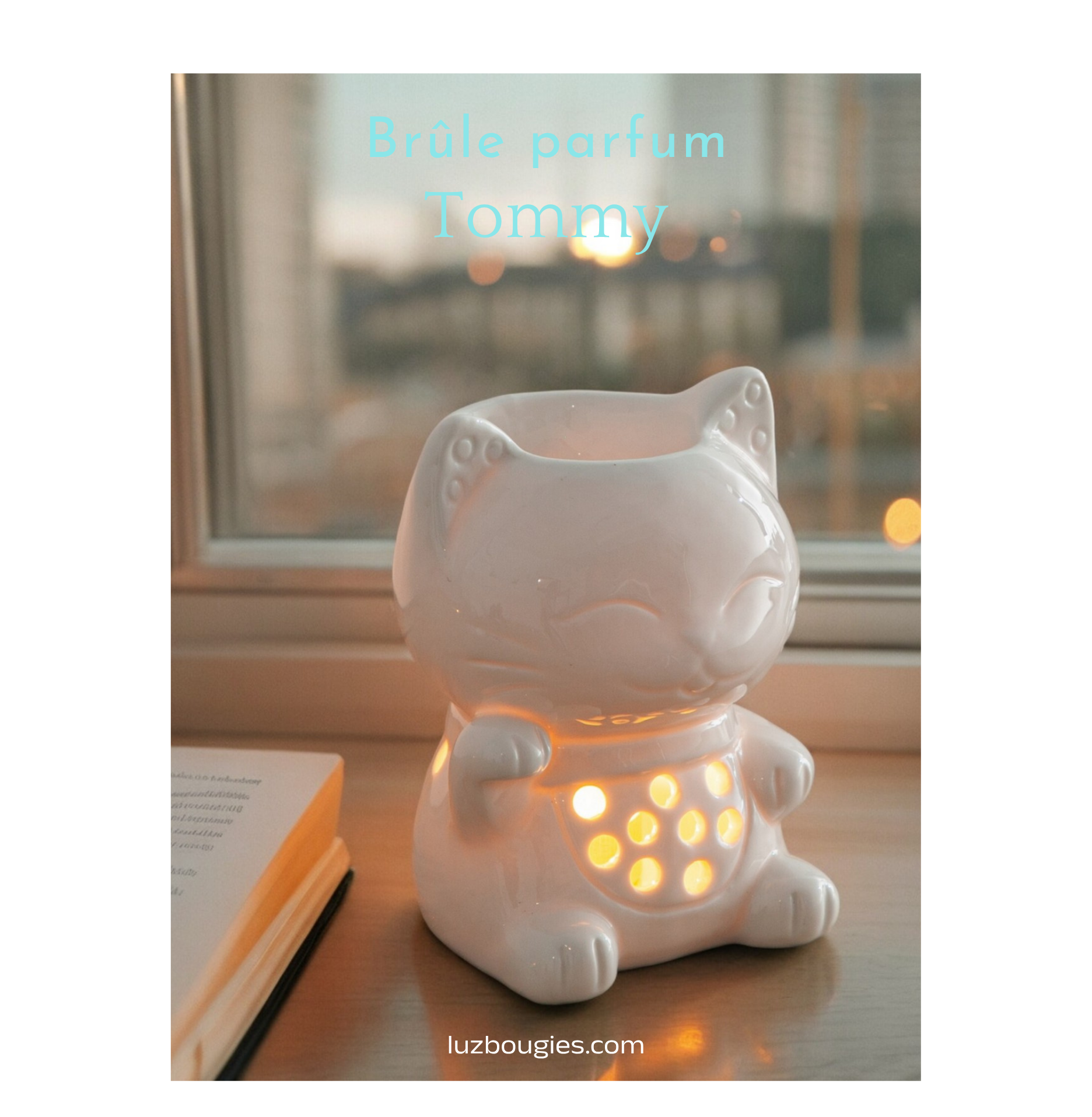 Brûle parfum Tommy