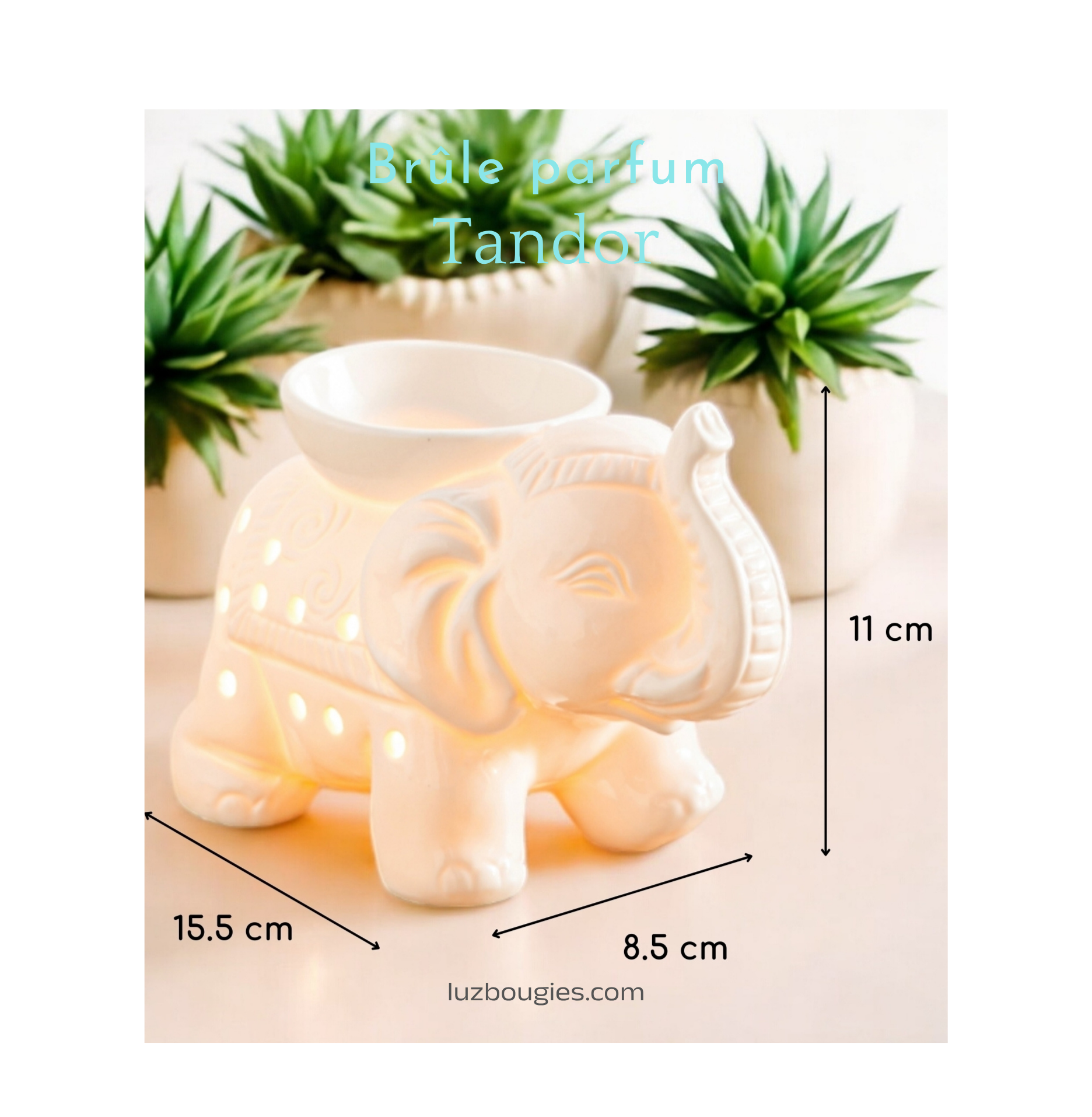 Brûle parfum Tandor