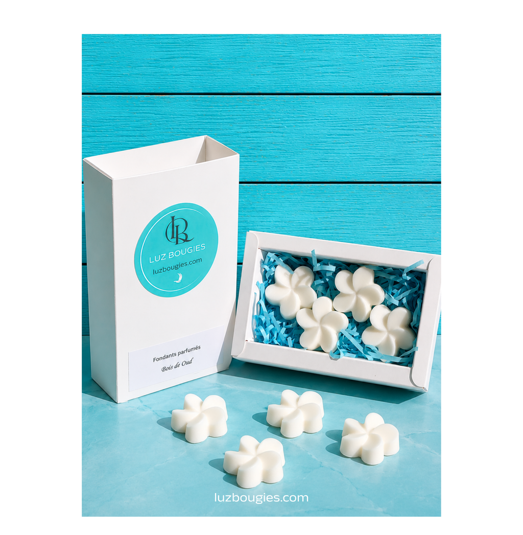 Coffret 4 fondants Bois de Oud