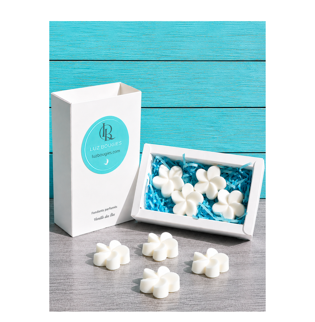 Coffret 4 fondants Vanille des Iles