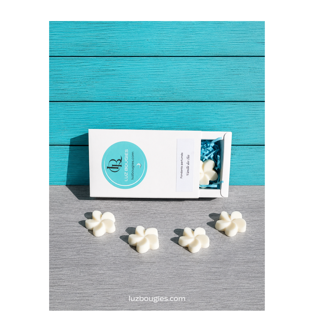 Coffret 4 fondants Vanille des Iles