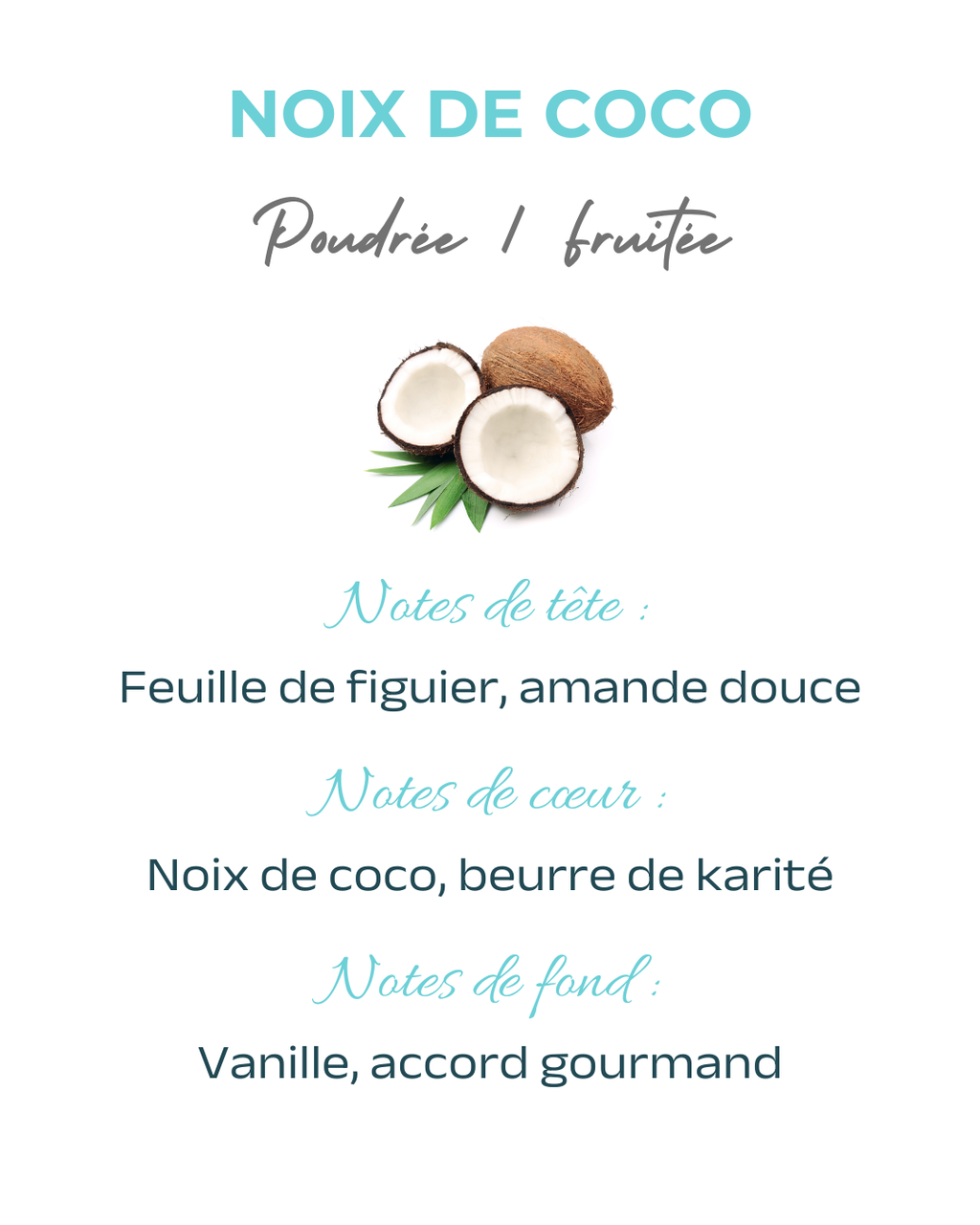 Diffuseur voiture Noix de Coco