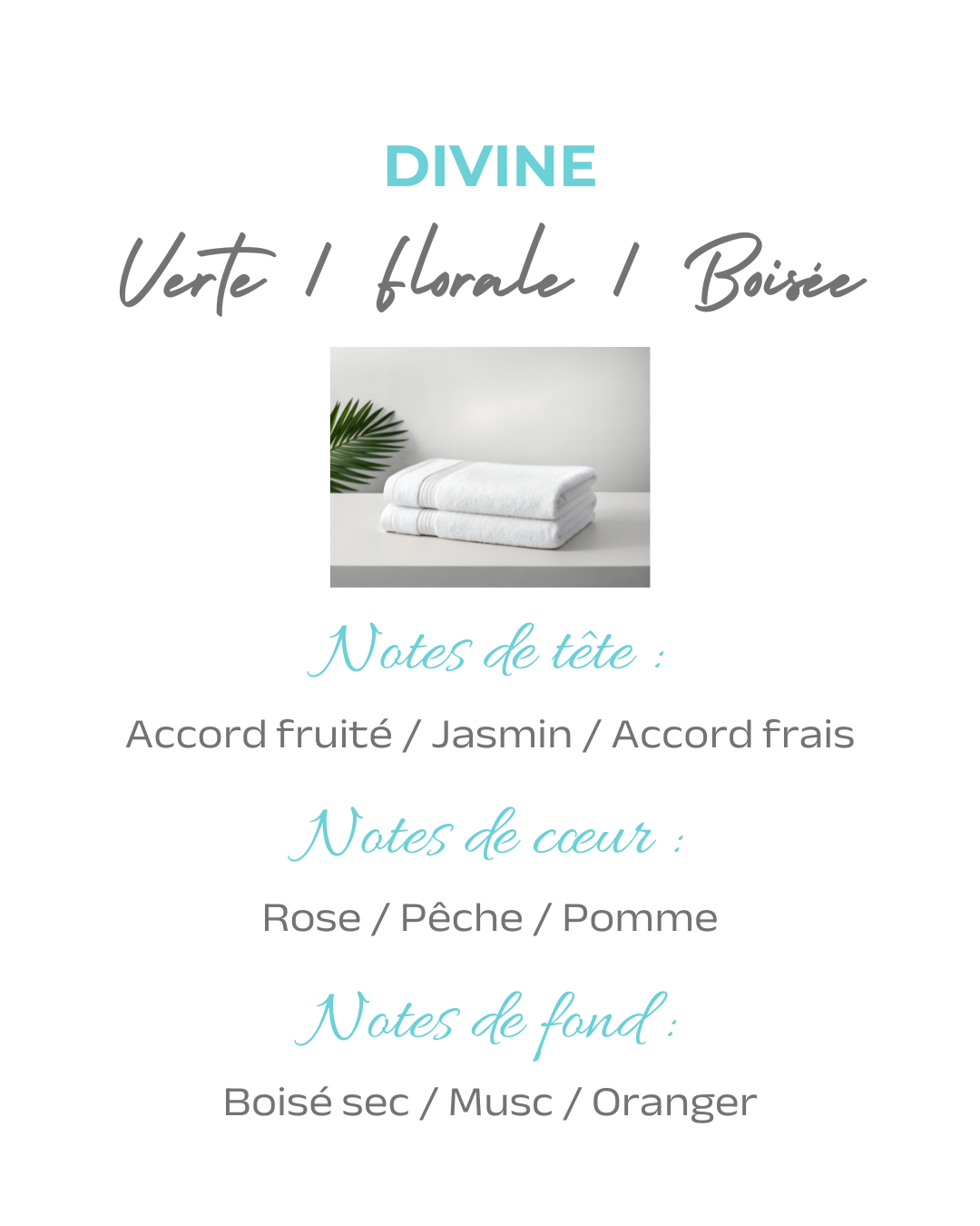 Coffret plâtre parfumé Arbre de vie avec sa recharge "Divine"