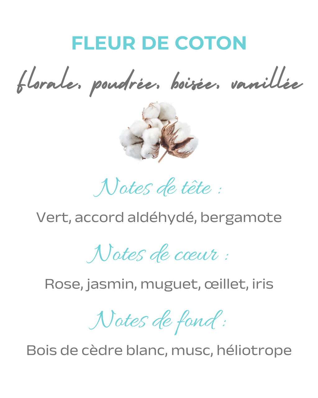 Diffuseur parfumé à tiges Fleur de coton