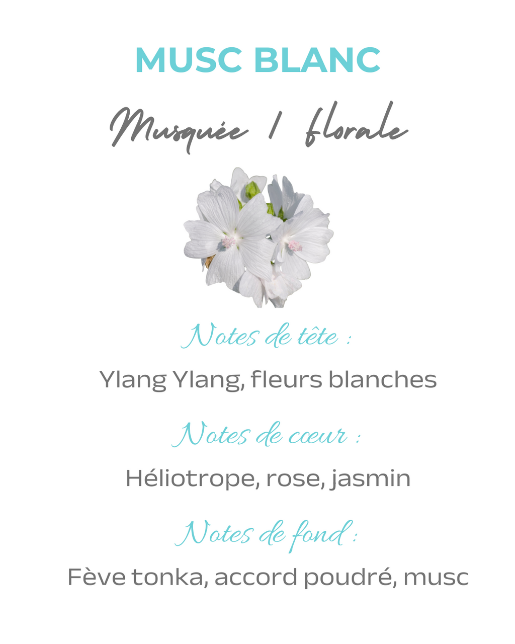 Parfum ambiance Musc blanc