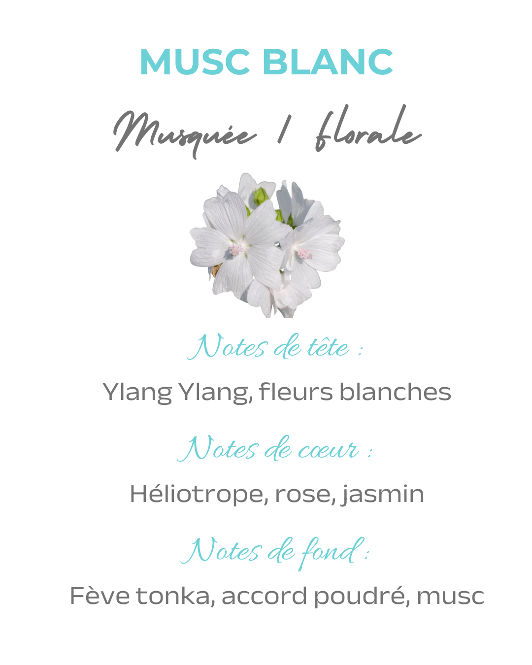 Parfum ambiance Musc blanc